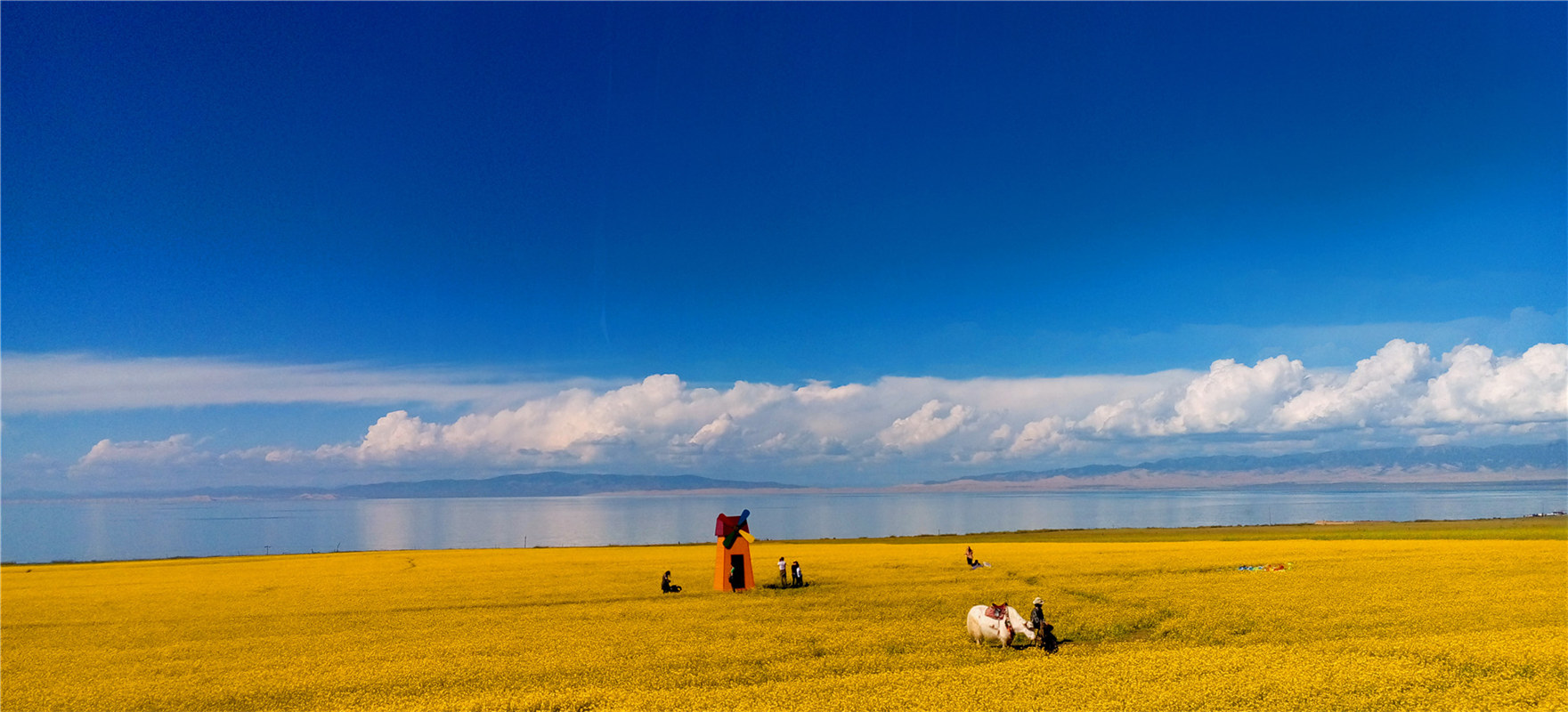 《大美青?！穭㈤?/>
                                    <div   id=